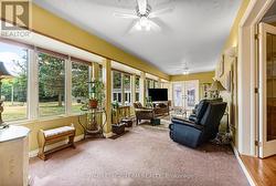 Plenty of natural light. - 