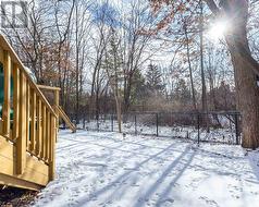 Set Against the Lush Backdrop of the Ravine - 