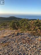 1690 Oceanview Drive  Cape St. George, NL A0N 1E0