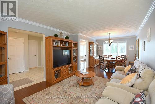 11 Jacqueline Boulevard, Hamilton, ON - Indoor Photo Showing Living Room