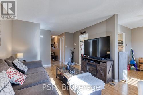 81 Brembel Street, Kitchener, ON - Indoor Photo Showing Living Room