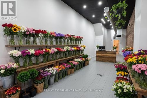 181 King Street, Hamilton, ON 