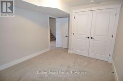 Lower Level Bedroom - 