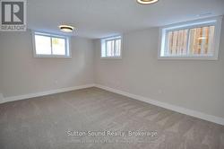 Lower level family room - 