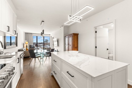 Vue d'ensemble - 604-1000 Rue Levert, Montréal (Verdun/Île-Des-Soeurs), QC - Indoor Photo Showing Kitchen With Upgraded Kitchen
