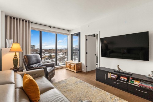 Salon - 604-1000 Rue Levert, Montréal (Verdun/Île-Des-Soeurs), QC - Indoor Photo Showing Living Room