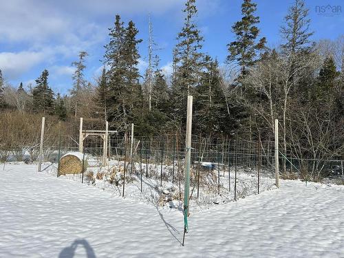 77 Harris Avenue, Truro, NS 