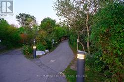 Community Promenade Summer Photo - 