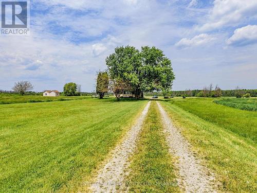 29018 Highway 48, Georgina, ON 