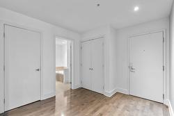 Hall d'entrée/Vestibule - 