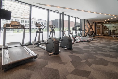 Exercise room - 1011-235 Rue Peel, Montréal (Le Sud-Ouest), QC - Indoor Photo Showing Gym Room