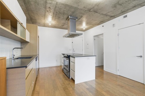 Kitchen - 1011-235 Rue Peel, Montréal (Le Sud-Ouest), QC - Indoor Photo Showing Kitchen