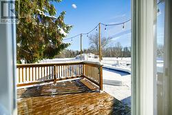 back deck - 