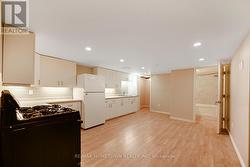 lower level kitchen - 