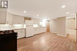 lower level kitchen - 