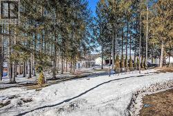 00 BAY ROAD  Alfred And Plantagenet, ON K0B 1A0