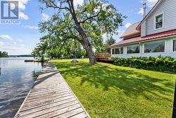 a perfect place to relax and take in nature - 