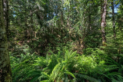 5885 Jupiter Pl, Sooke, BC 