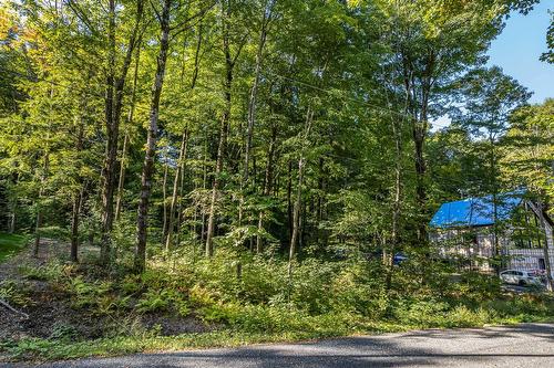 Terre/Terrain - Rue De Huntingdon, Dunham, QC 