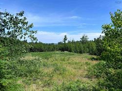 Lot 5 Rockfield Drive  Little Harbour, NS B2H 5C4