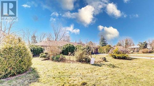 5 Balcarra Avenue, Toronto, ON - Outdoor With View