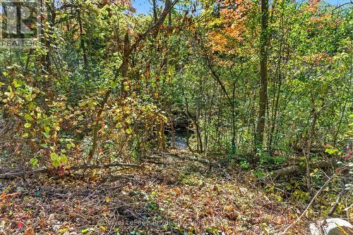 66 Old Mill Road, Cambridge, ON - Outdoor