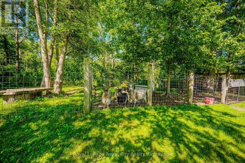 66 Old Mill Road, Cambridge, ON - Outdoor