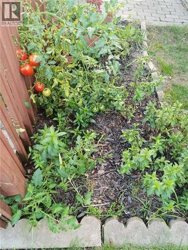 Exterior view - 109 Beechmanor Crescent, Kitchener, ON - Outdoor