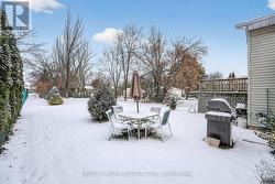 72 Flynn - Back Yard - 