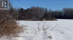 1306 SULPHIDE ROAD  Tweed (Hungerford (Twp)), ON K0K 3J0