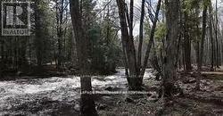 LOT 4 FUTURE LANE S  Stirling-Rawdon (Rawdon Ward), ON K0K 2M0