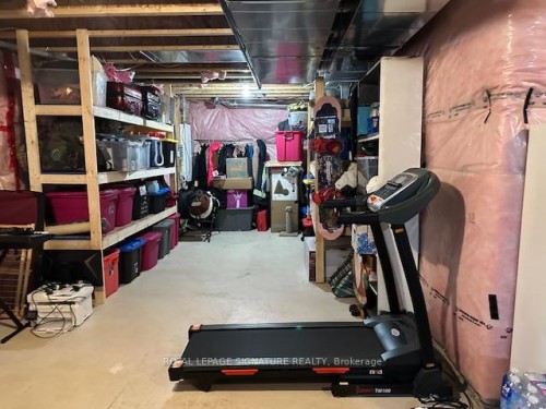 1317 Raspberry Terrace, Milton, ON - Indoor Photo Showing Basement