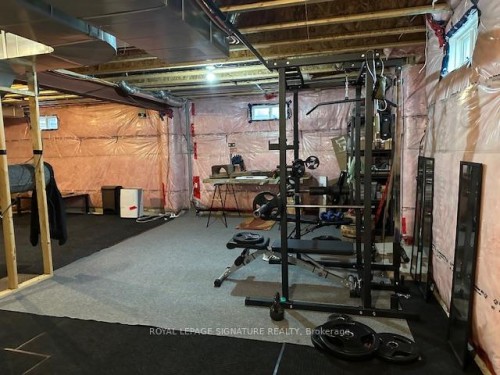 1317 Raspberry Terrace, Milton, ON - Indoor Photo Showing Basement