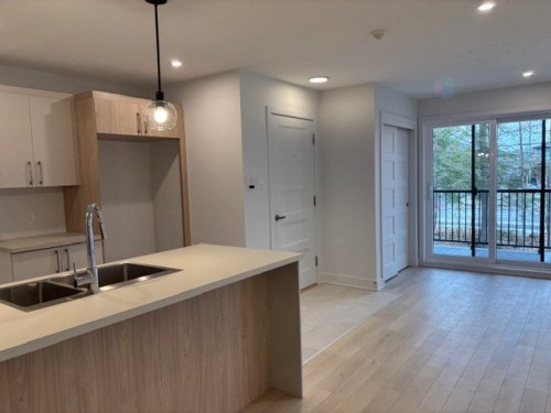 Cuisine - 101-651 Av. Forest, Notre-Dame-De-L'Île-Perrot, QC - Indoor Photo Showing Kitchen