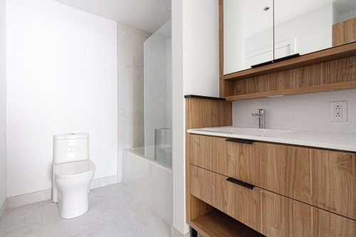 Ensuite bathroom - 411-1971 Rue Du Havre, Montréal (Ville-Marie), QC - Indoor Photo Showing Bathroom