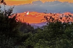 View - 