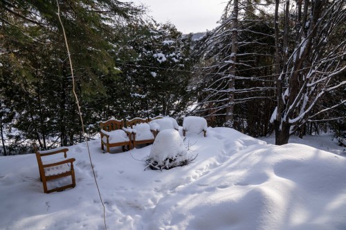 Cour - 37 2E Rue Mont-Suisse, Saint-Sauveur, QC - Outdoor