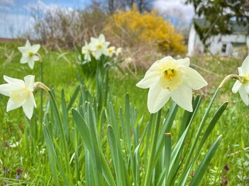 283 Debert Beach Road, Lower Debert, NS 