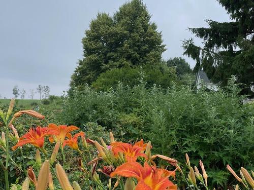 283 Debert Beach Road, Lower Debert, NS 