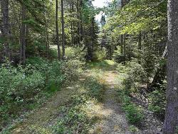 Lot 3 Target Hill Road  Chester, NS B0J 1J0