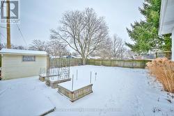 Garden Beds and Shed - 