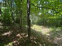16 Jacklin, Seguin, ON 