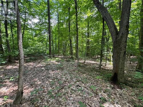 16 Jacklin, Seguin, ON 