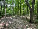 16 Jacklin, Seguin, ON 