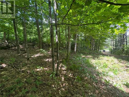 16 Jacklin, Seguin, ON 