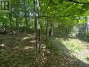 16 Jacklin, Seguin, ON 