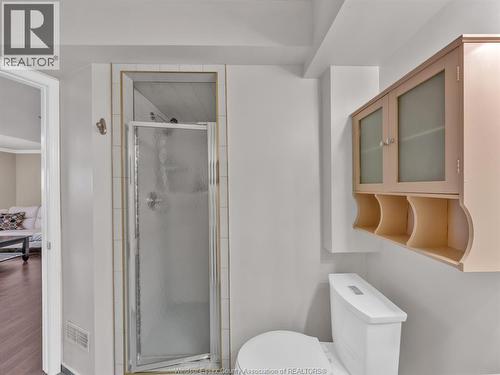 1046 Rendezvous, Windsor, ON - Indoor Photo Showing Bathroom