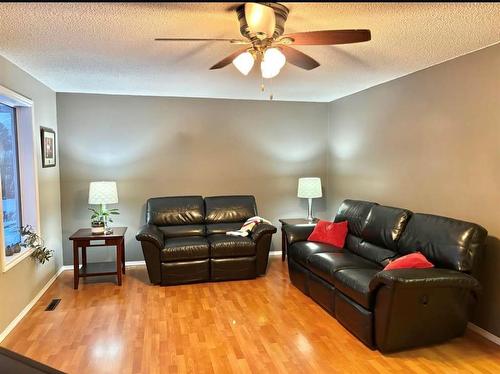 138 Centennial Avenue, Baldur, MB - Indoor Photo Showing Living Room