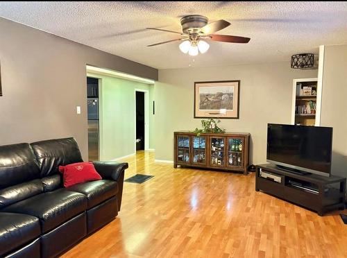 138 Centennial Avenue, Baldur, MB - Indoor Photo Showing Living Room