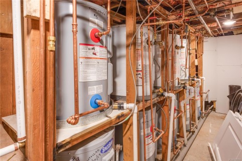 1148 Oscar St, Victoria, BC - Indoor Photo Showing Basement